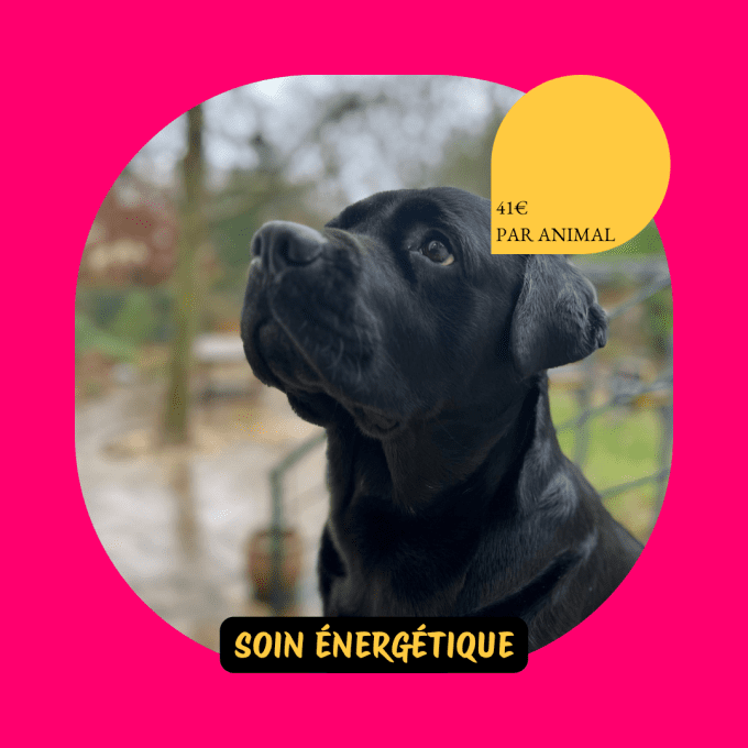 Soin énergétique