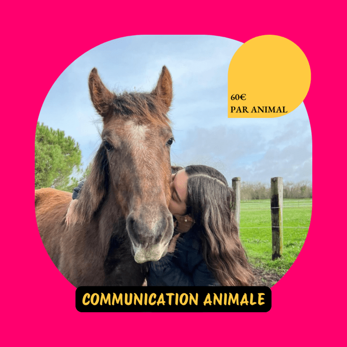 Communication animale