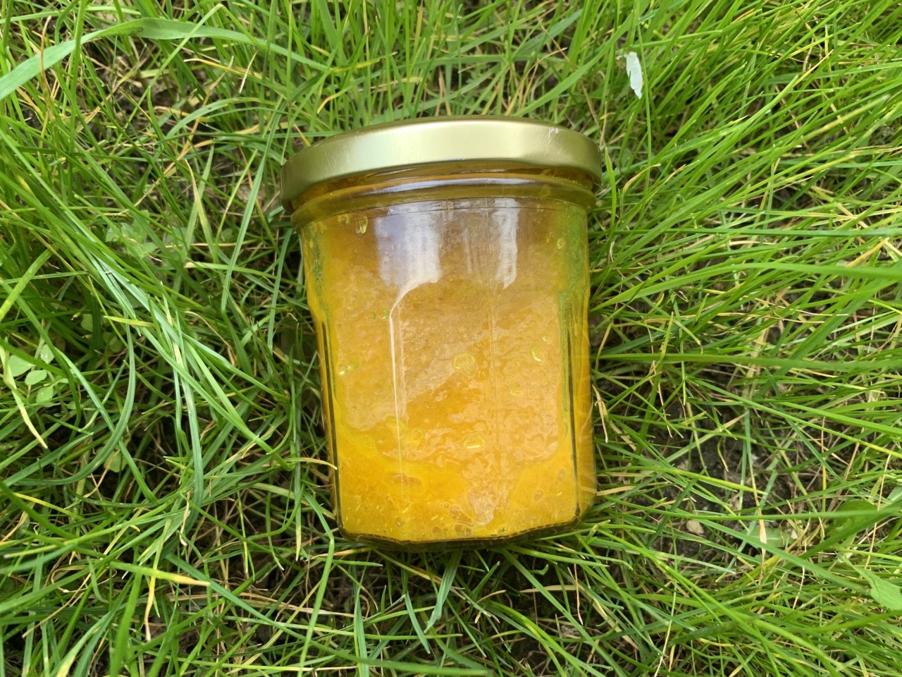 Gelée naturelle au curcuma et vinaigre de cidre, posée et prise en photo dans l'herbe par www.hygiequin.fr